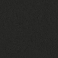 Fortuna Black