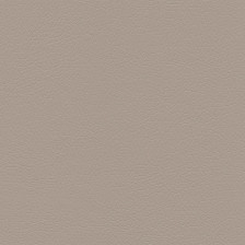 Fortuna Light Gray